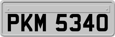 PKM5340