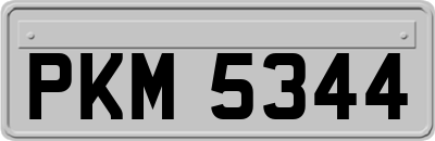 PKM5344