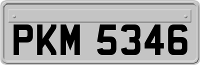 PKM5346