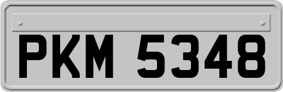 PKM5348