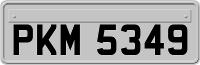 PKM5349