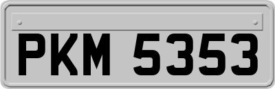 PKM5353