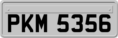 PKM5356