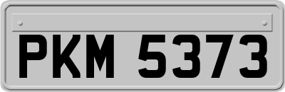 PKM5373