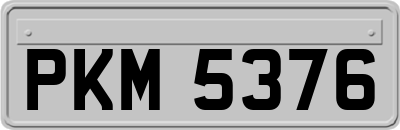 PKM5376