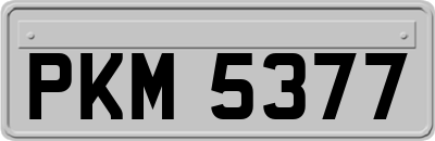 PKM5377