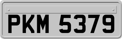 PKM5379