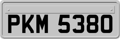 PKM5380