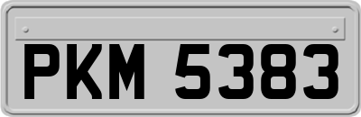 PKM5383