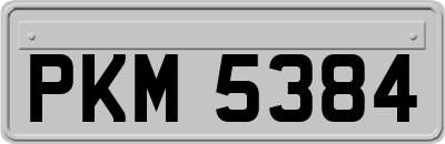 PKM5384