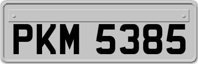 PKM5385