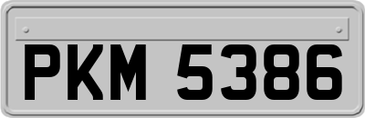 PKM5386