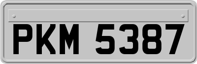 PKM5387