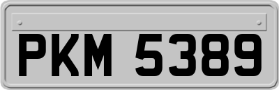 PKM5389