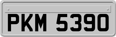 PKM5390
