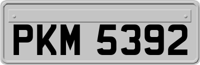 PKM5392