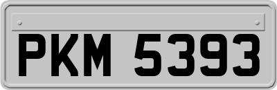 PKM5393