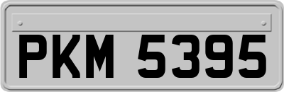 PKM5395
