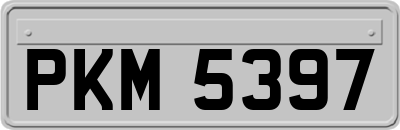 PKM5397