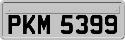PKM5399