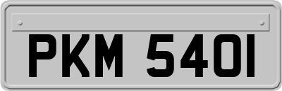 PKM5401