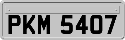 PKM5407