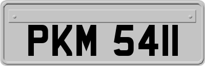 PKM5411