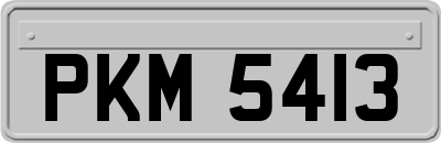 PKM5413