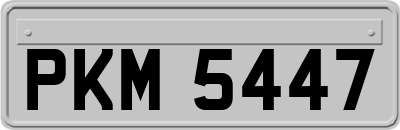 PKM5447