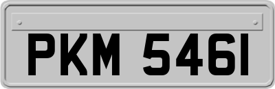 PKM5461