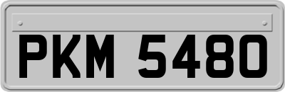 PKM5480
