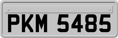 PKM5485