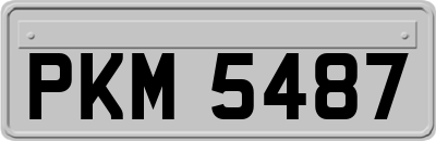 PKM5487