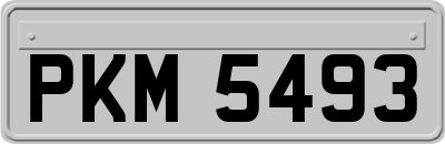 PKM5493