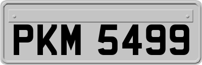 PKM5499