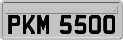 PKM5500