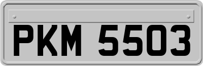 PKM5503