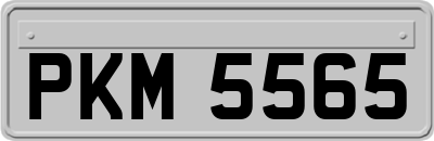 PKM5565
