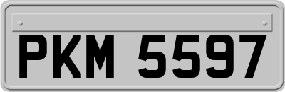 PKM5597