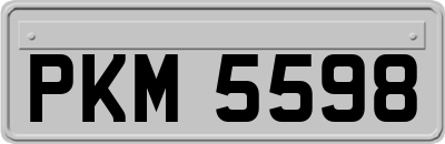 PKM5598