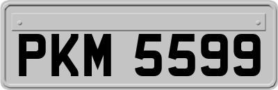PKM5599