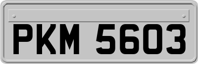 PKM5603