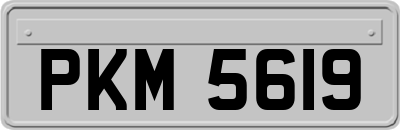 PKM5619