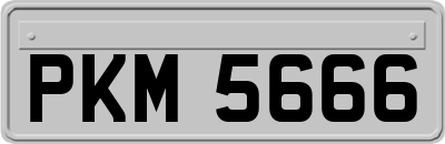 PKM5666