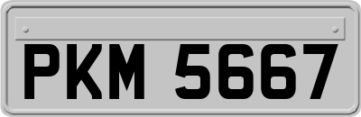 PKM5667