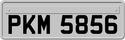 PKM5856