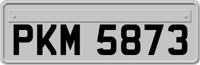 PKM5873