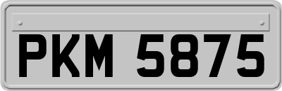 PKM5875