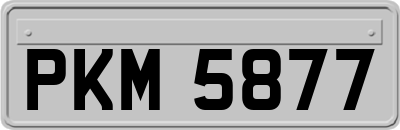 PKM5877