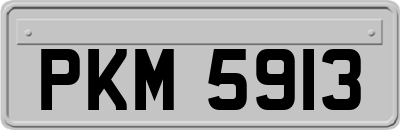 PKM5913
